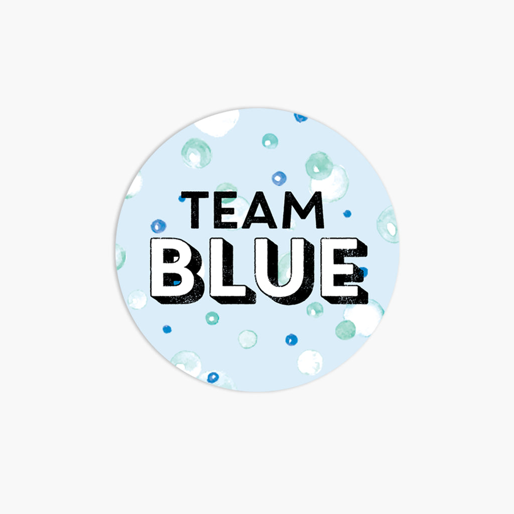 Gender Reveal Party Stickers: Set of 24 Team Pink and Team Blue Stickers