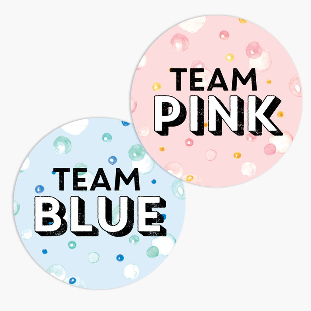Gender Reveal Party Stickers: Set of 24 Team Pink and Team Blue Stickers